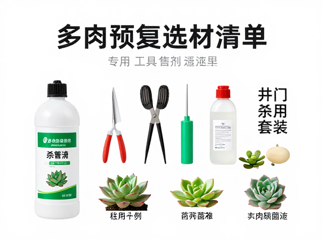 工具套装配置与操作规范