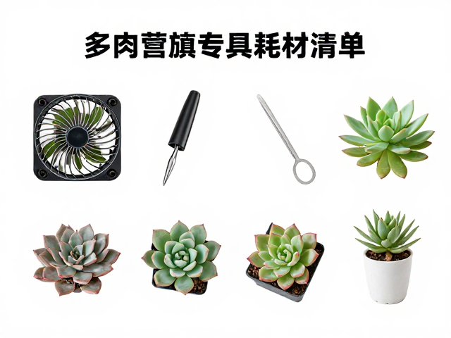 多肉繁殖专用工具与耗材清单，通风风扇，入门套装全解析
