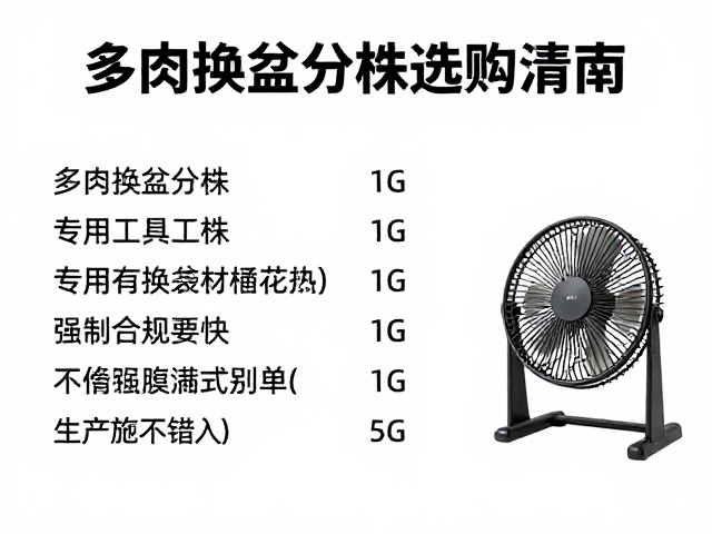 操作规范:换盆分株的标准流程与注意事项