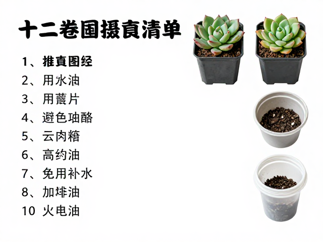 容器与工具配置:适配生长习性的硬件支持