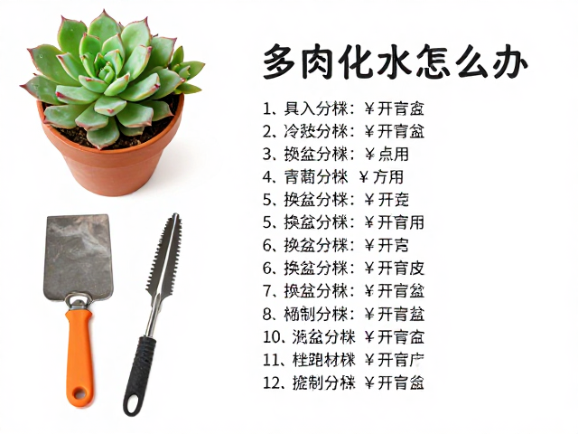 操作环境与后期养护