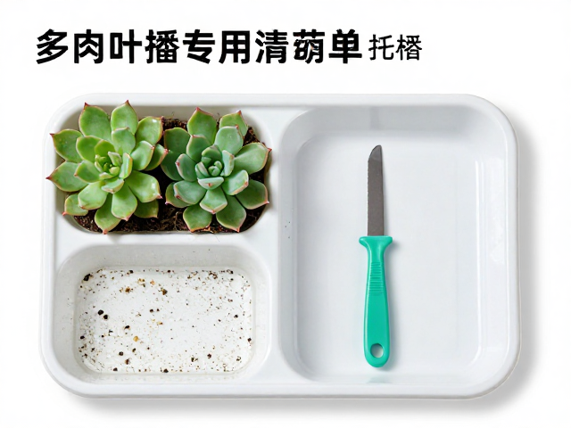 多肉叶插专用工具清单，托盘，酒精消毒刀具，新手繁殖全攻略