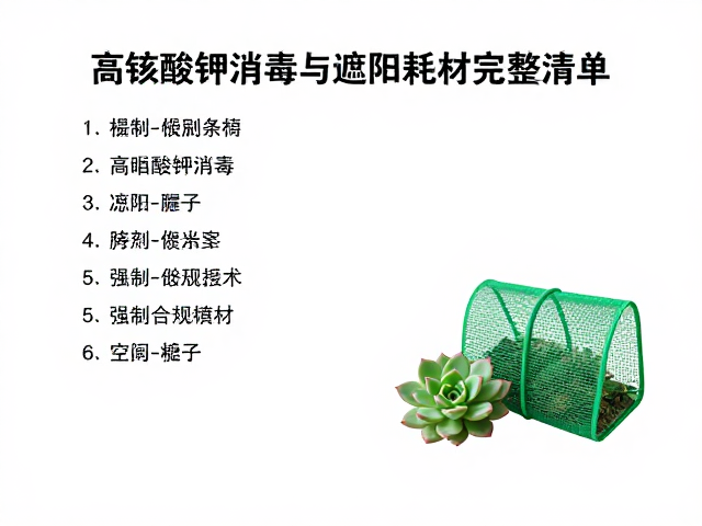 操作过程中的风险控制与环境管理