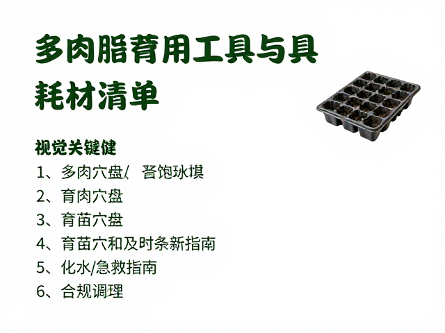 环境调控与长期养护预防策略
