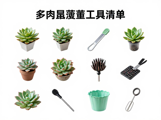 水分管理与湿度控制