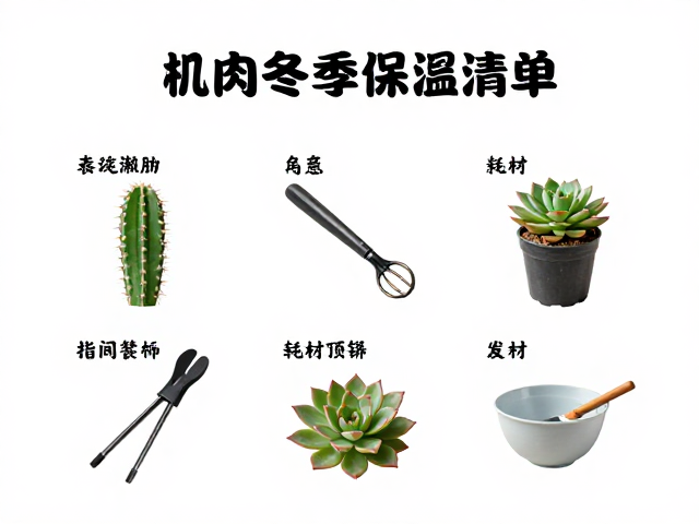 仙人掌多肉冬季保温技巧，繁殖专用工具与耗材清单