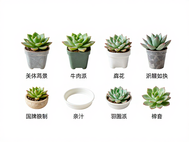 亲子协作与安全操作规范