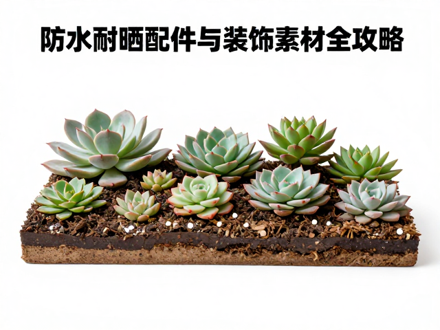 法师多肉造景清单，防水耐晒配件与装饰素材全攻略