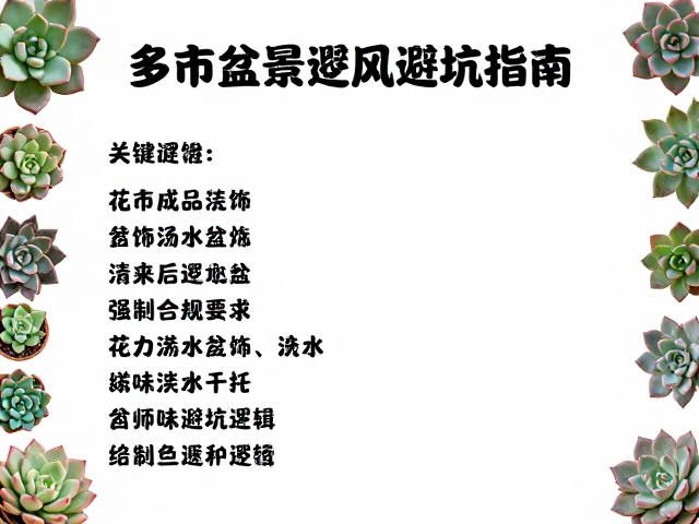 多肉造景清单，花市成品盆装饰，浇水后通风避坑指南