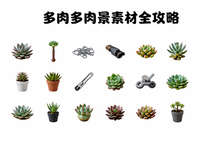 功能性配件与固定材料