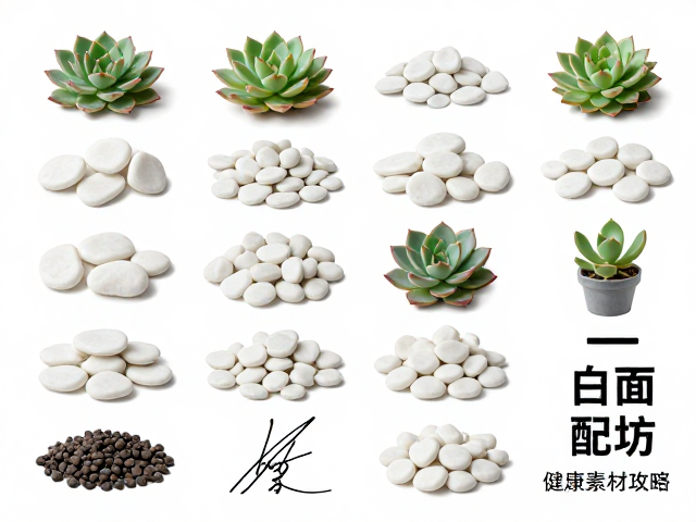 日常维护与清洁技巧