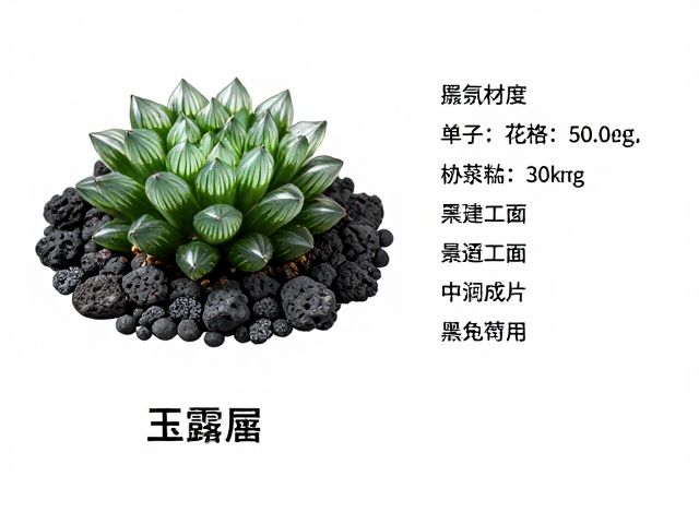 核心素材甄选：玉露品种与火山石规格