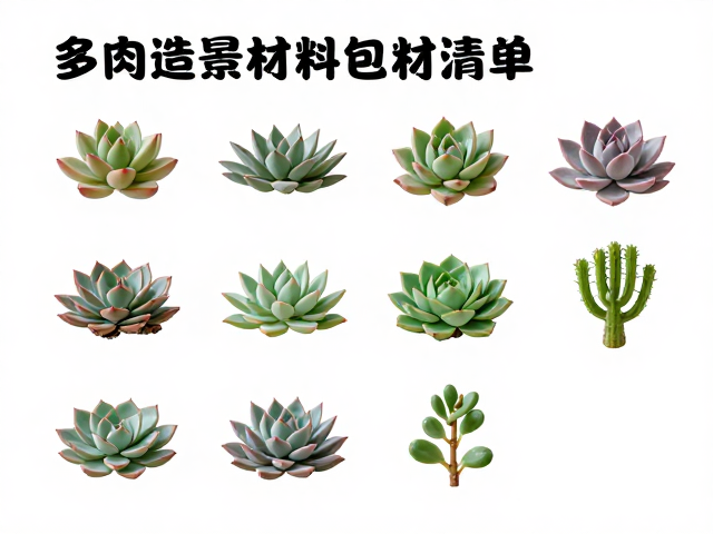 固定结构与辅助配件全解析