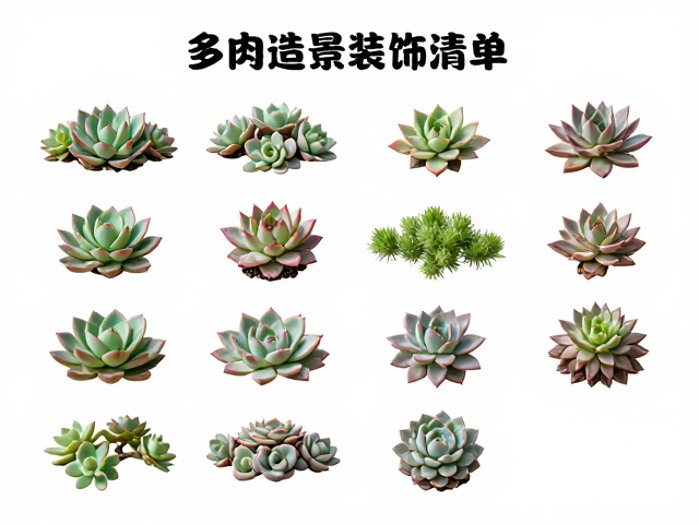 功能性配件与微景观元素的应用