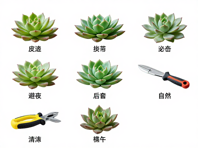 工具配套与后期维护细节