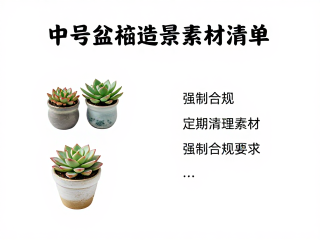 中号盆栽装饰件清单，多肉造景素材与定期清理落叶指南