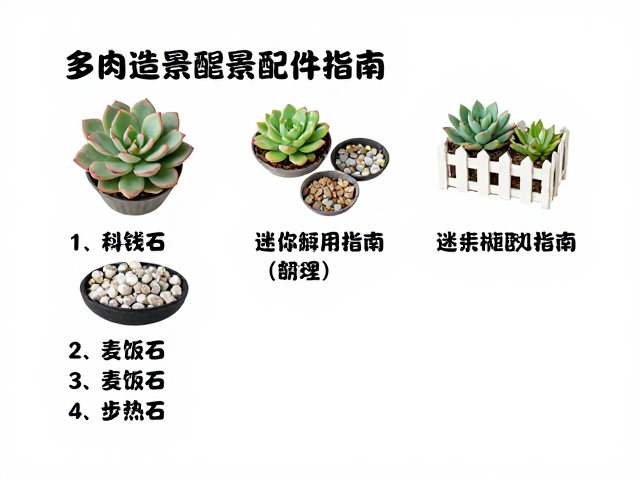 操作细节与维护要点