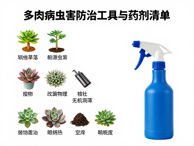 多肉病虫害防治工具与药剂清单，压力喷雾器是否适合？