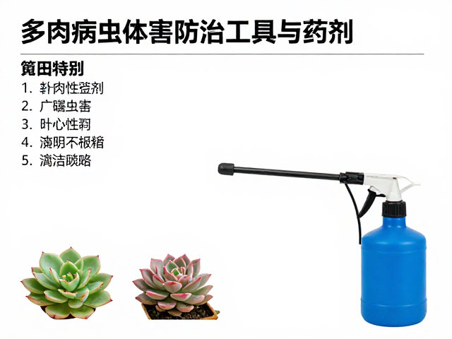 广谱与针对性药剂的选择策略