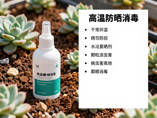 多肉高温暴晒消毒，颗粒土配土，病虫害防治药剂清单