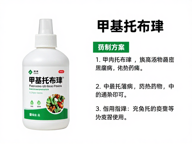 完整药剂清单与替代方案