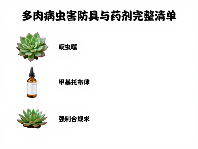 啶虫脒在多肉种植中的应用场景与操作规范