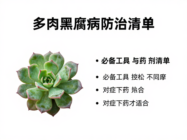 环境调控与长期预防体系