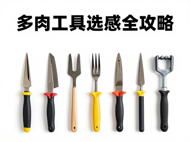 多肉工具选购避坑，清洁与舒适握感全攻略