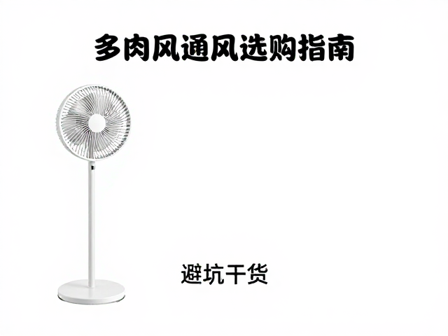 形态选择与空间适配策略
