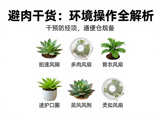 安全防护与日常维护细节