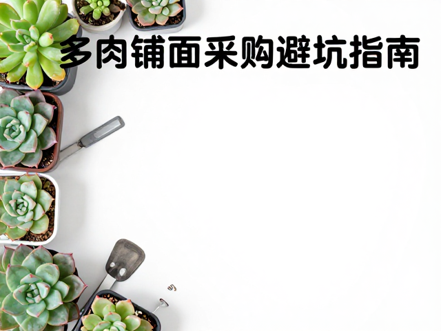 耗材与工具推荐