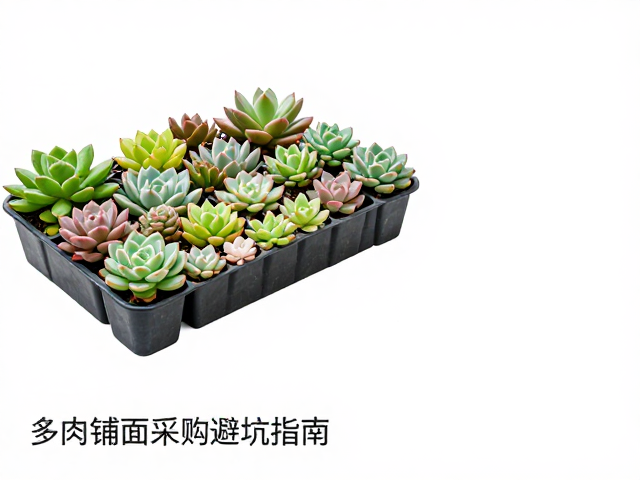 防虫与病害预防