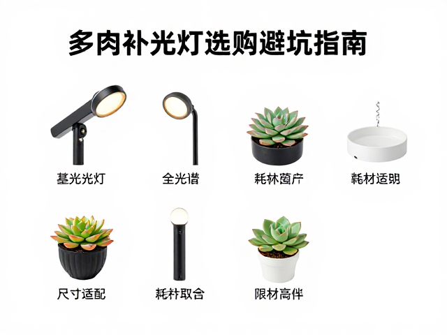 多肉补光灯选购避坑指南，尺寸适配与耗材清单全解析