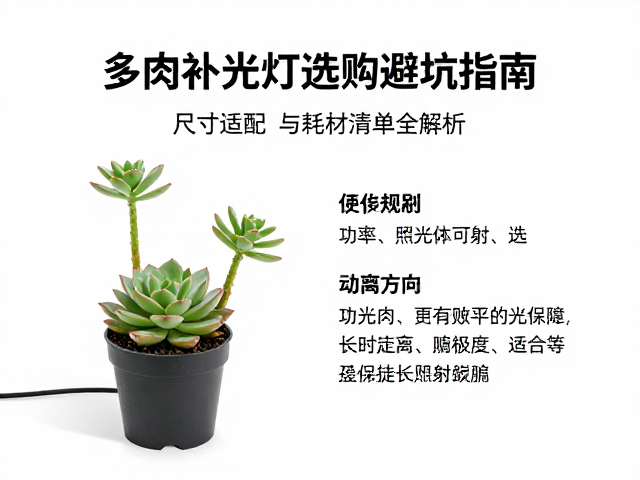 功率与照射距离:避免徒长与灼伤的关键