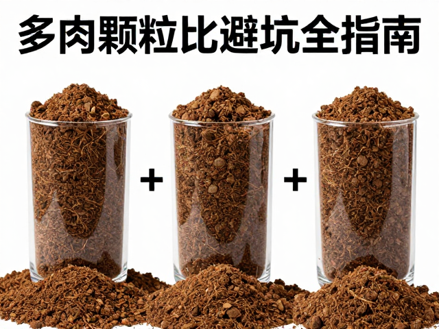 密封防潮与长期储存技巧