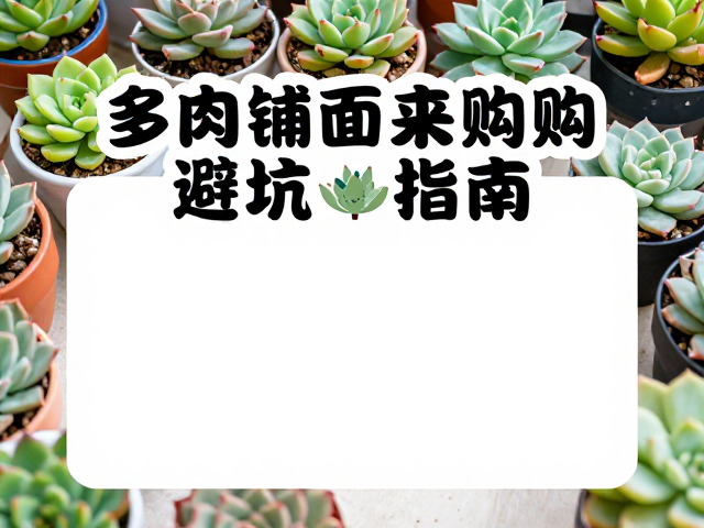 花盆材质与底部结构