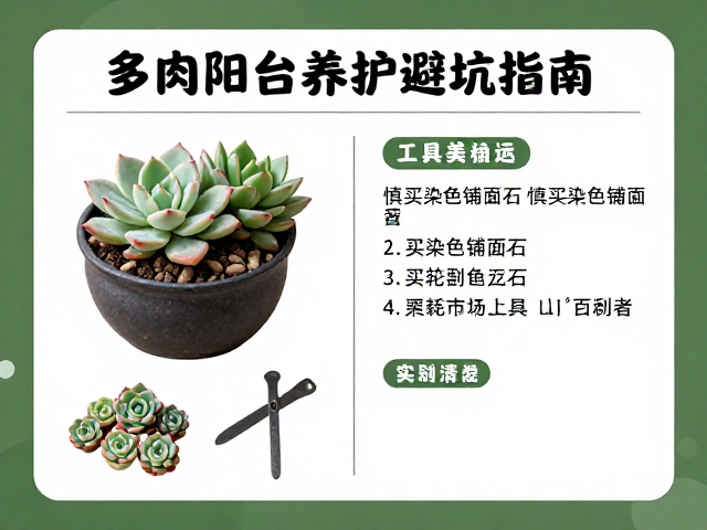 工具耗材选购清单与实用建议