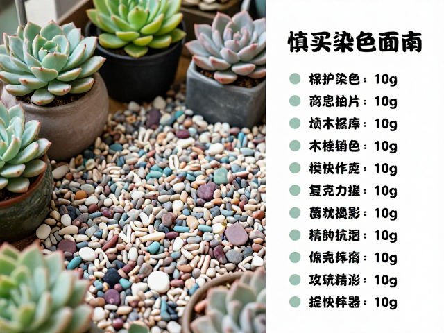 多肉阳台养护避坑指南，慎买染色铺面石，附工具耗材选购清单