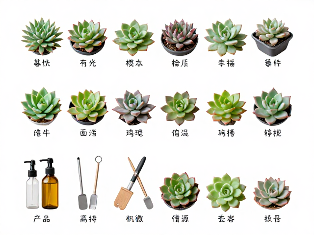 基质配比与工具材质的实用筛选