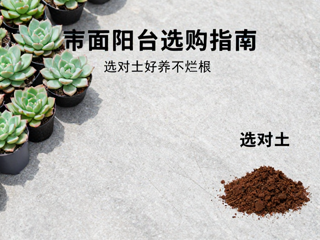 材质特性与物理性能的深度解析