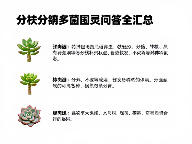 特殊品种的分株差异与注意事项