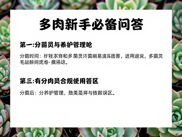 分株后的养护管理与常见误区