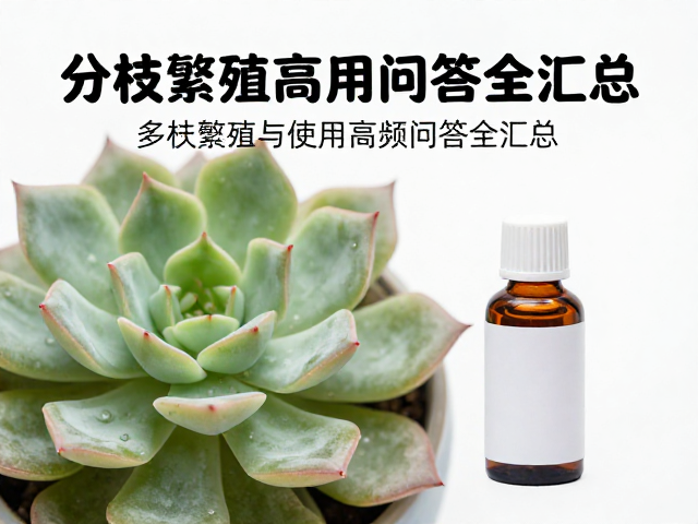 多菌灵在分株中的正确使用方法