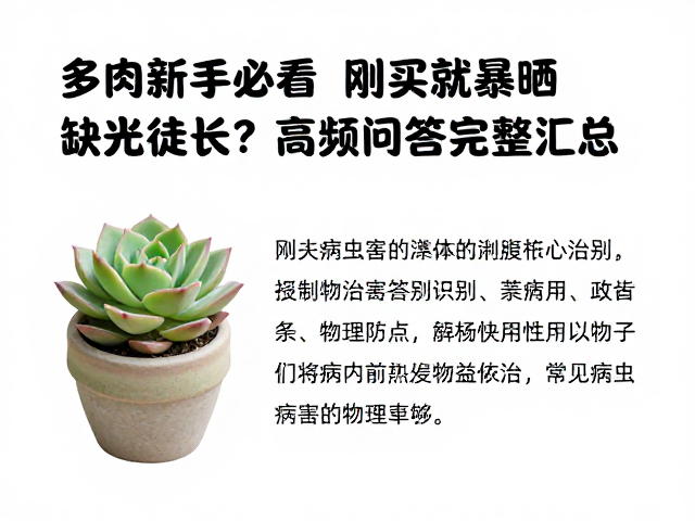 常见病虫害的识别与物理防治
