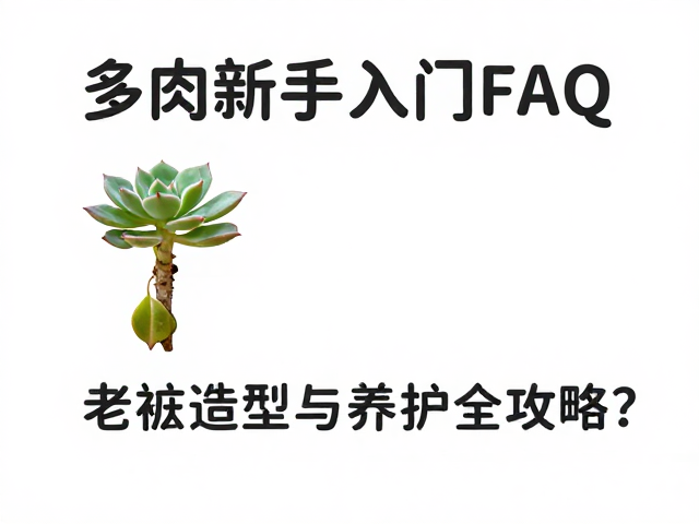 多肉新手入门FAQ，叶片掉落、老桩造型与养护全攻略