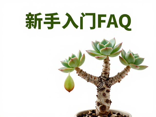 老桩造型:时间沉淀的自然美学