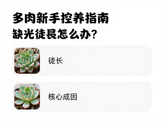 多肉新手控养指南，缺光徒长怎么办？高频问答全汇总