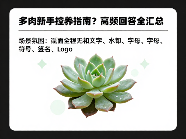 物理补光与环境调控策略