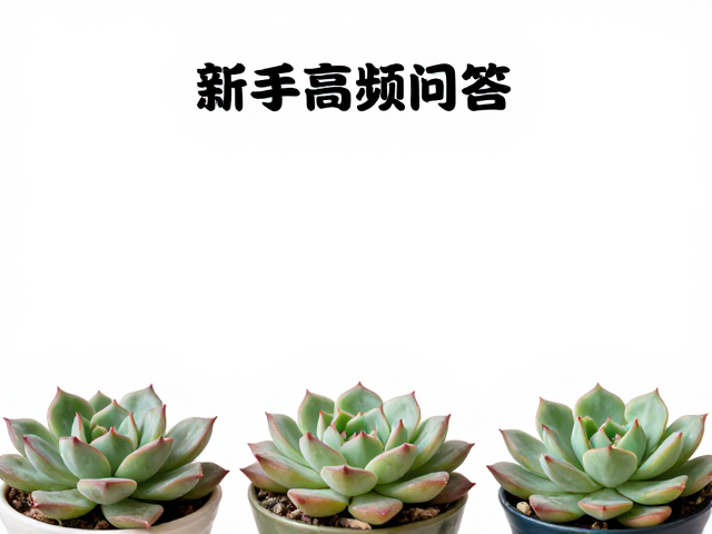 多肉多少钱一盆？新手高频问答，梅雨季防黑腐全攻略