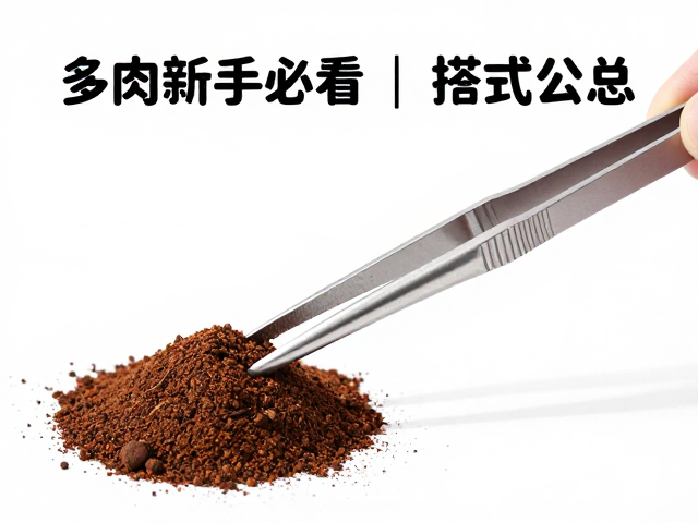 镊子在多肉养护中的高频场景与操作细节